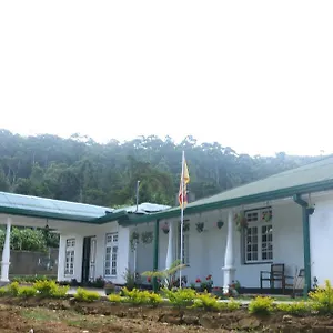 Silver Meir ** Nuwara Eliya